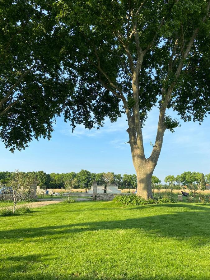 Mas Des 2 Platanes Bed and Breakfast Arles Buitenkant foto