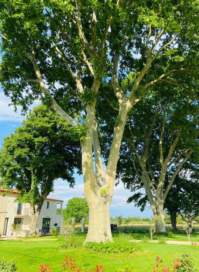Mas Des 2 Platanes Bed and Breakfast Arles Buitenkant foto
